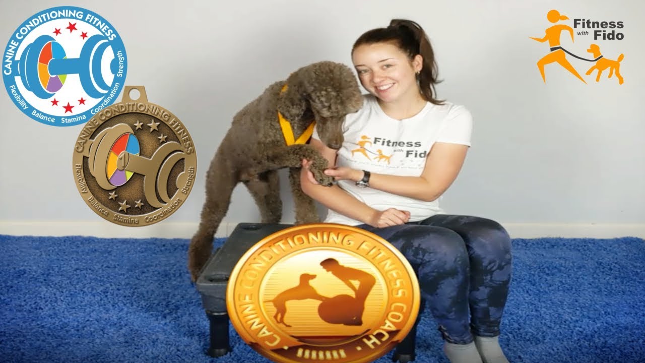 Canine Conditioning Fitness Titles Level 1
