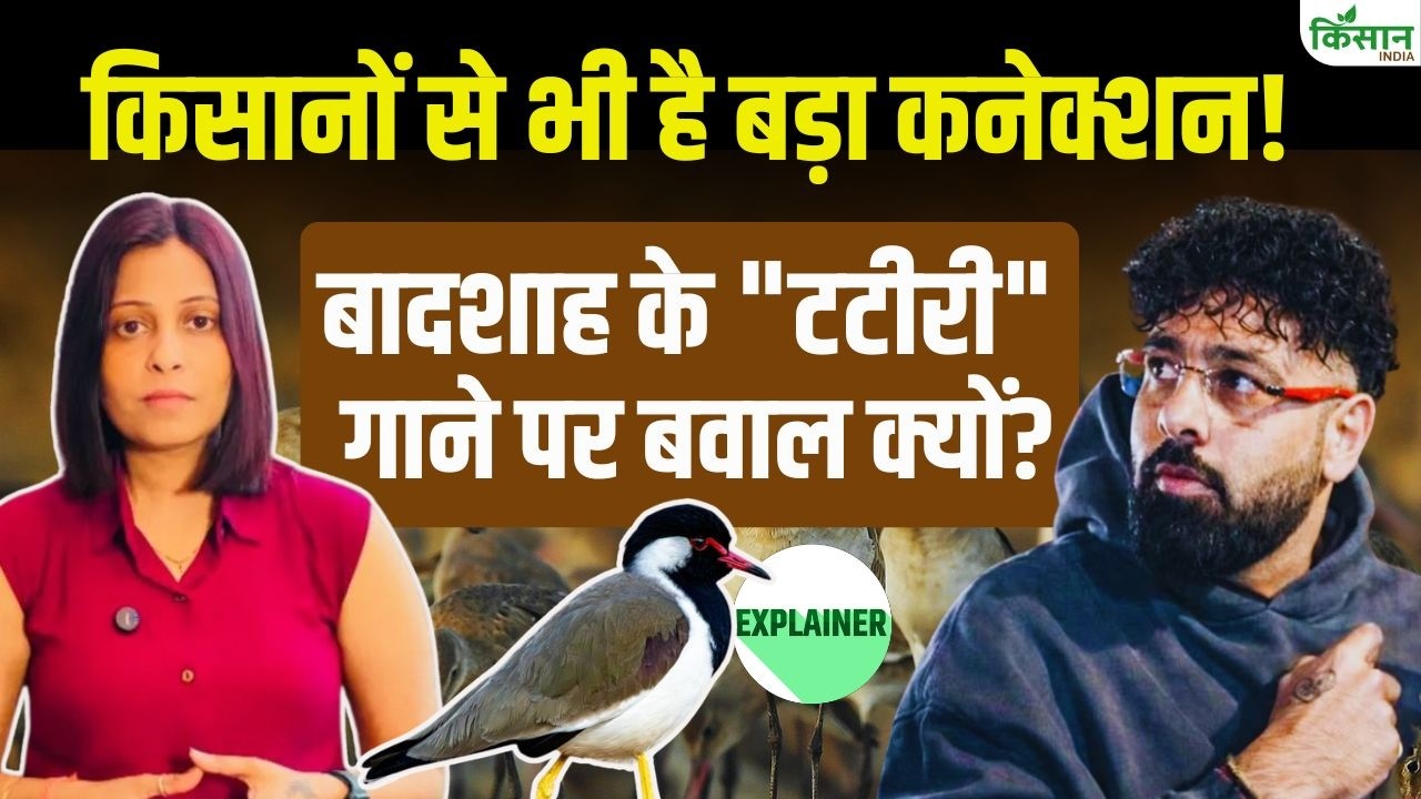 Badshah Tateeree song Controversy: किसानों का मौसम वैज्ञानिक 'टटीरी' को लेकर क्यों बुरे फंसे बादशाह?