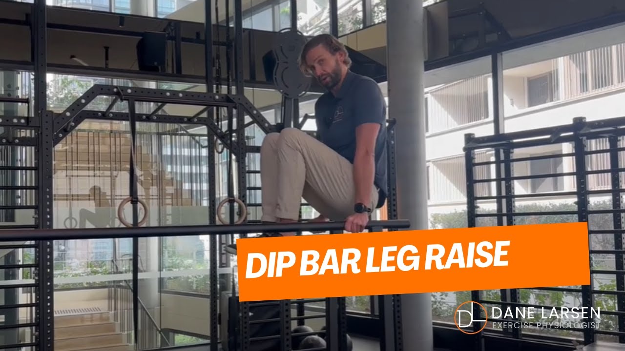 Dip Bar Leg Raise