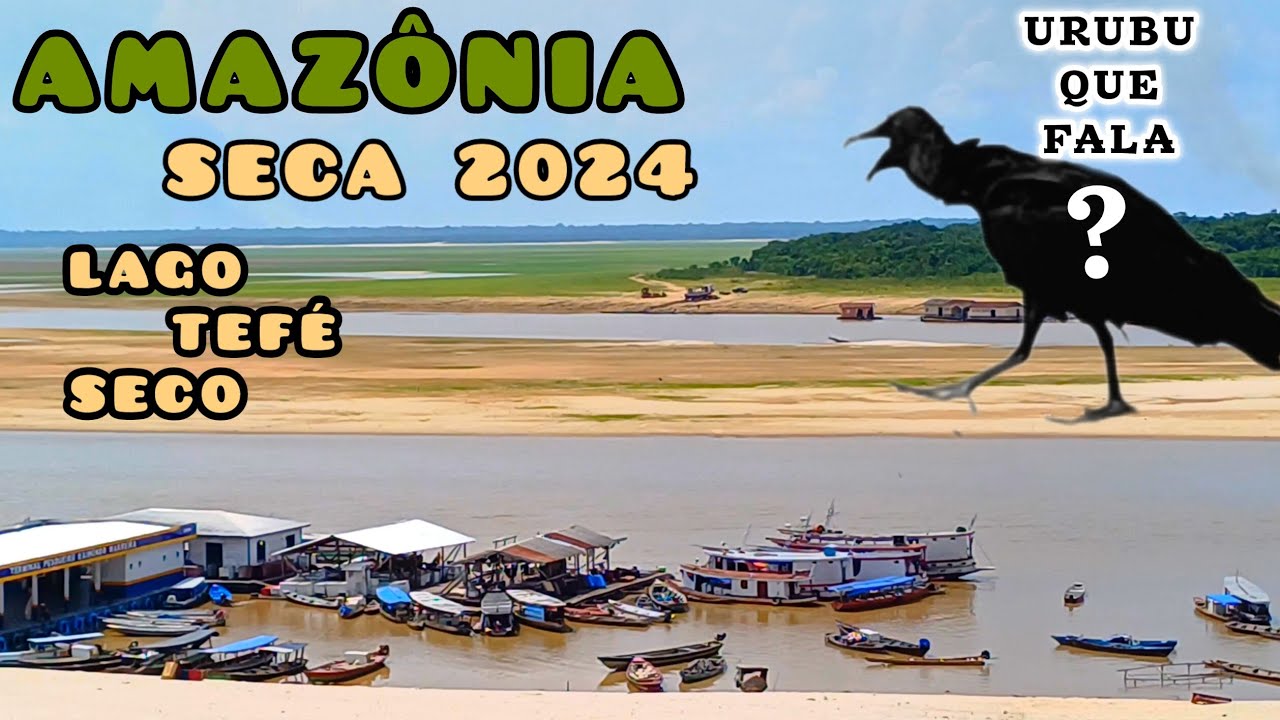 LAGO TEFÉ  NA  AMAZÔNIA  MUITO  SECO, TOMOU  FORMA  DE  RIO
