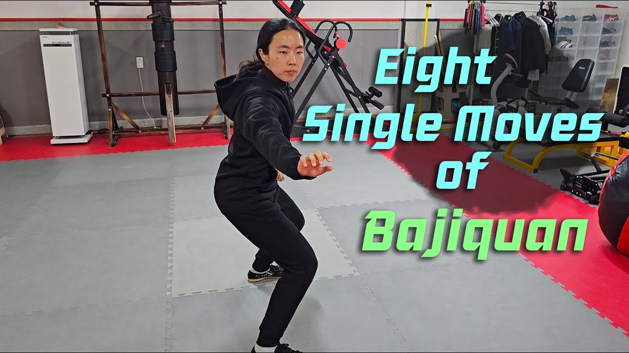 Eight Single Moves of Bajiquan (video collection)