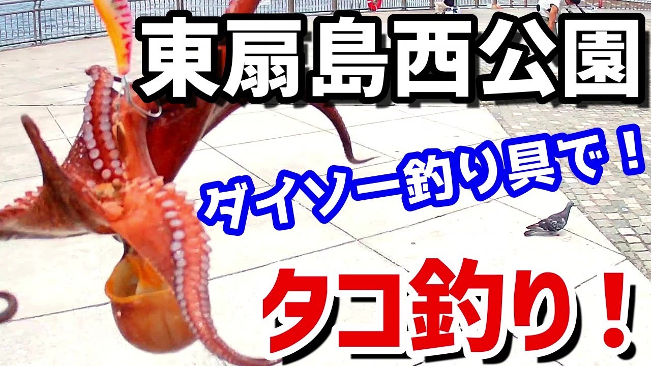 【東扇島西公園】タコ釣り！ダイソー釣り具で！