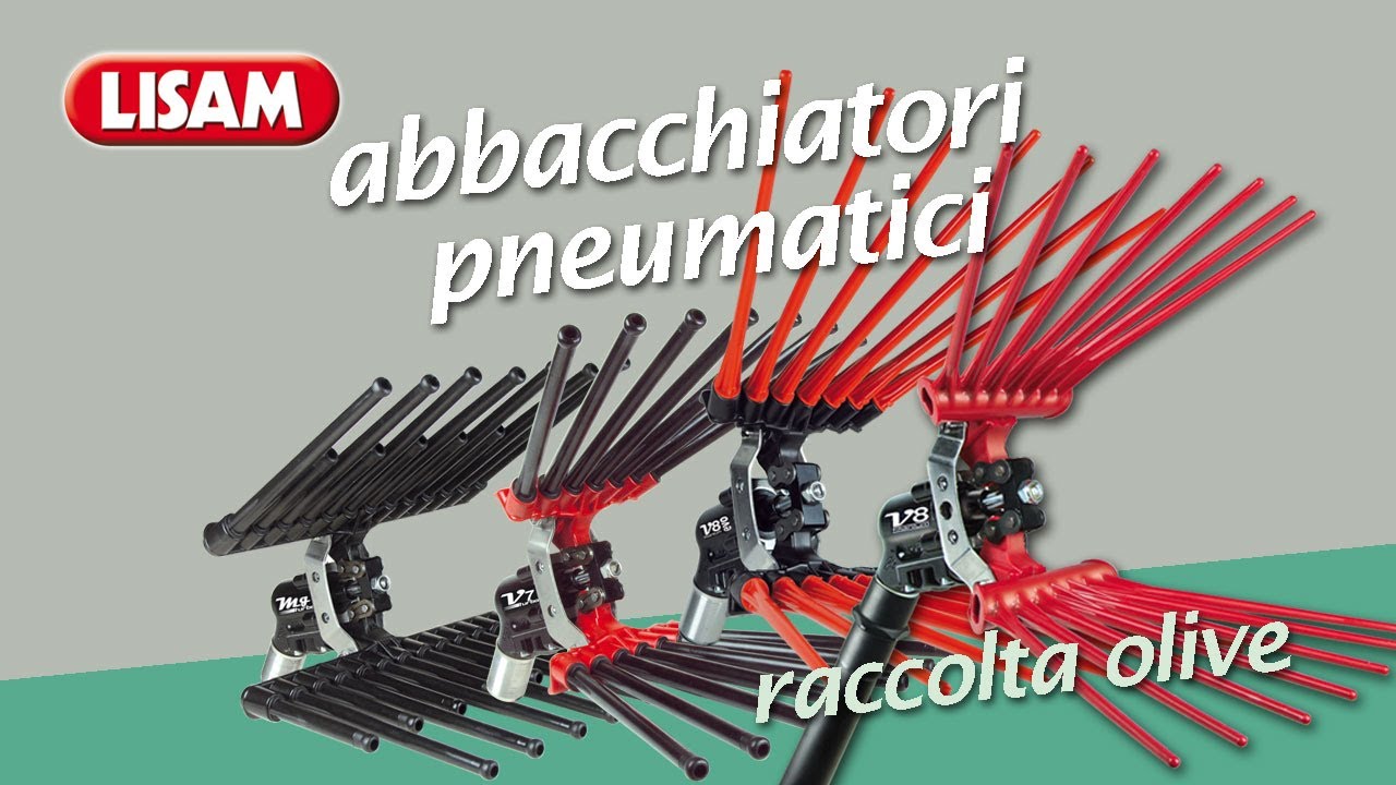 Abbacchiatori pneumatici Lisam -- I fantastici 4