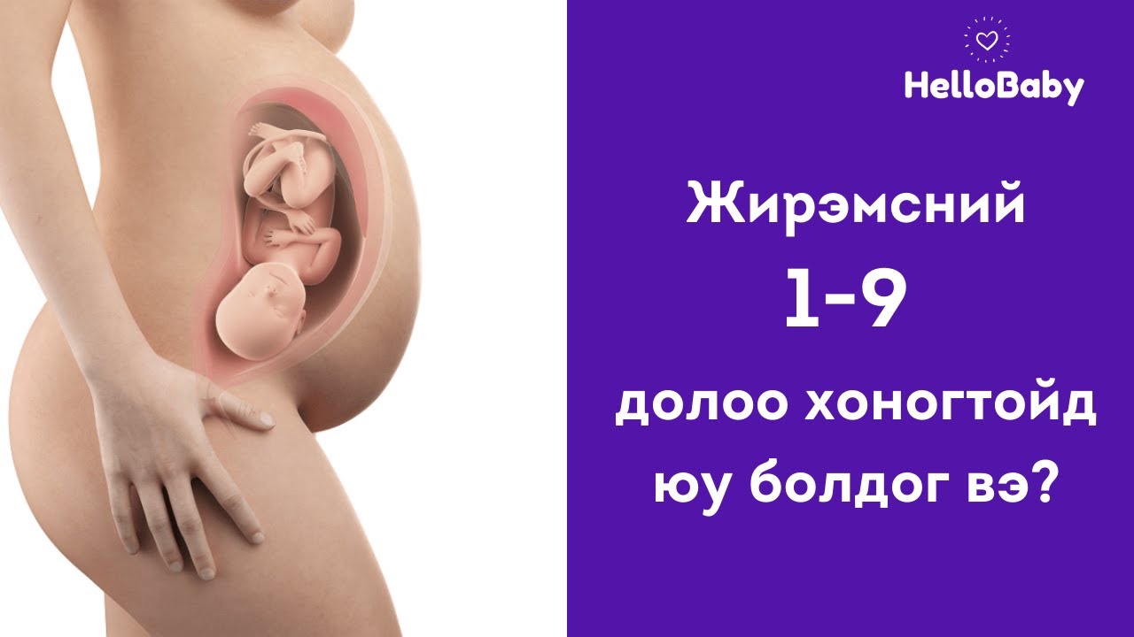 Жирэмсний 1-9 долоо хоногтойд юу болдог вэ?