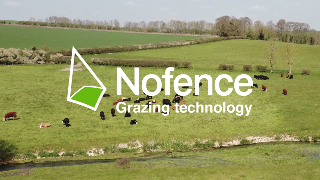 Nofence Managed grazing : Matt Turner