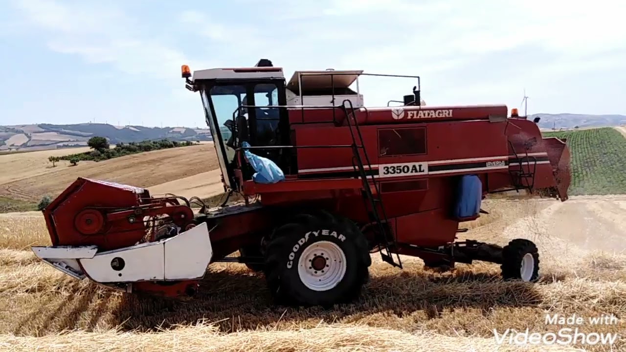 Mietitura con laverda/fiatagri 3350 al