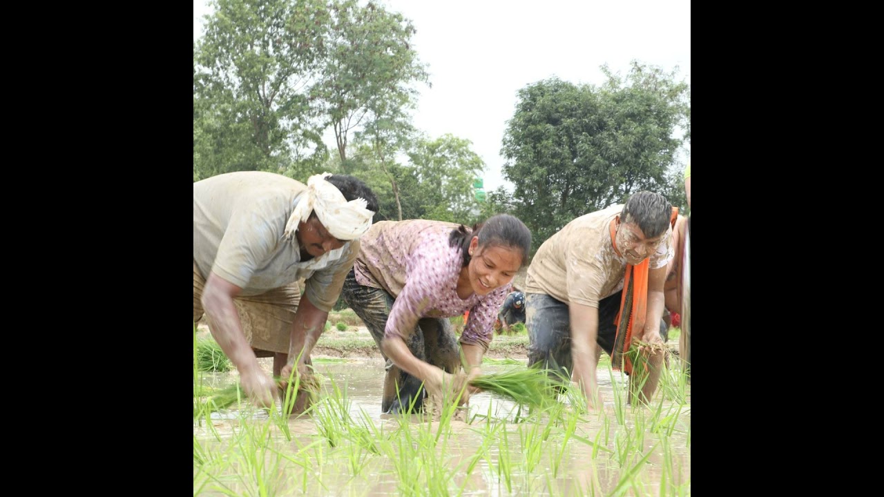 Energy Development And Its Impacts On Indigenous Peoples - Nepali -