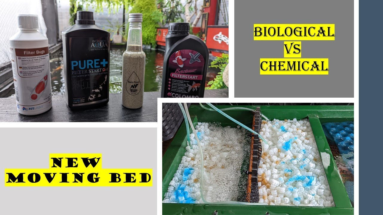 New Moving bed  #biological