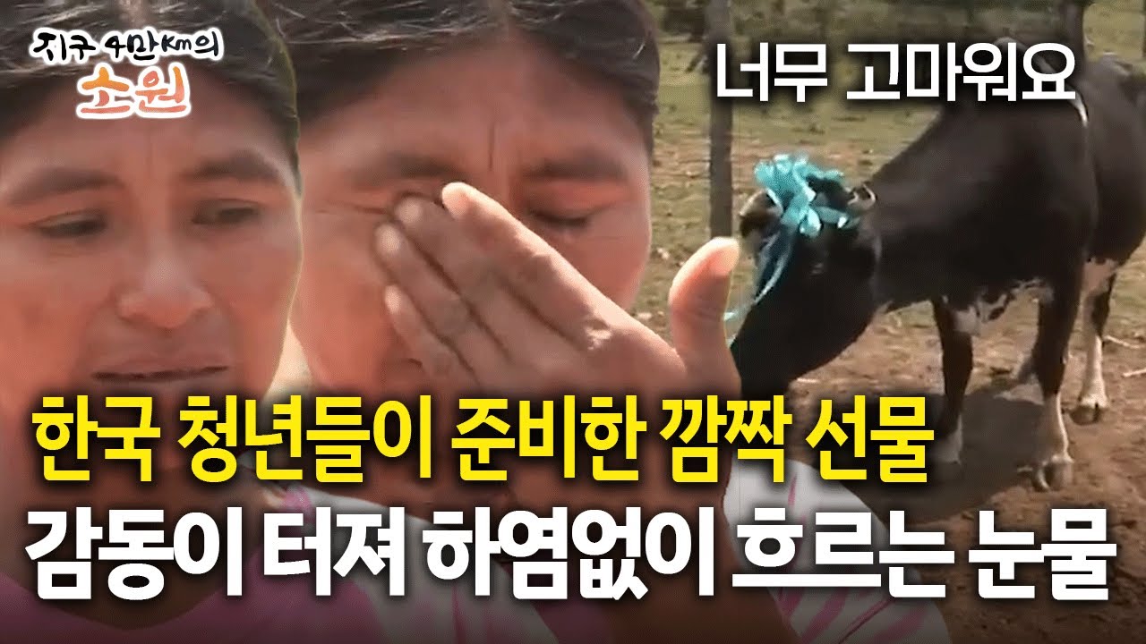 한국 청년들이 준비한 깜짝 선물 감동이 터져 하염없이 흐르는 눈물 [지구 4만Km의 소원]
