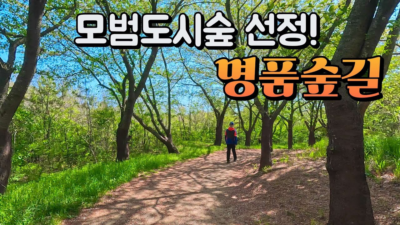 지하철역에서 출발하는 힐링 숲길 / 영종둘레길 1코스 / 건강백년길 / 2024년 모범도시숲으로 선정 / 서울근교둘레길 / 경기도 걷기 좋은길