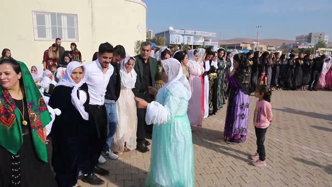 Servet Sancar Düğünü Part 3 ( Grup Velat Silopi ) 2022