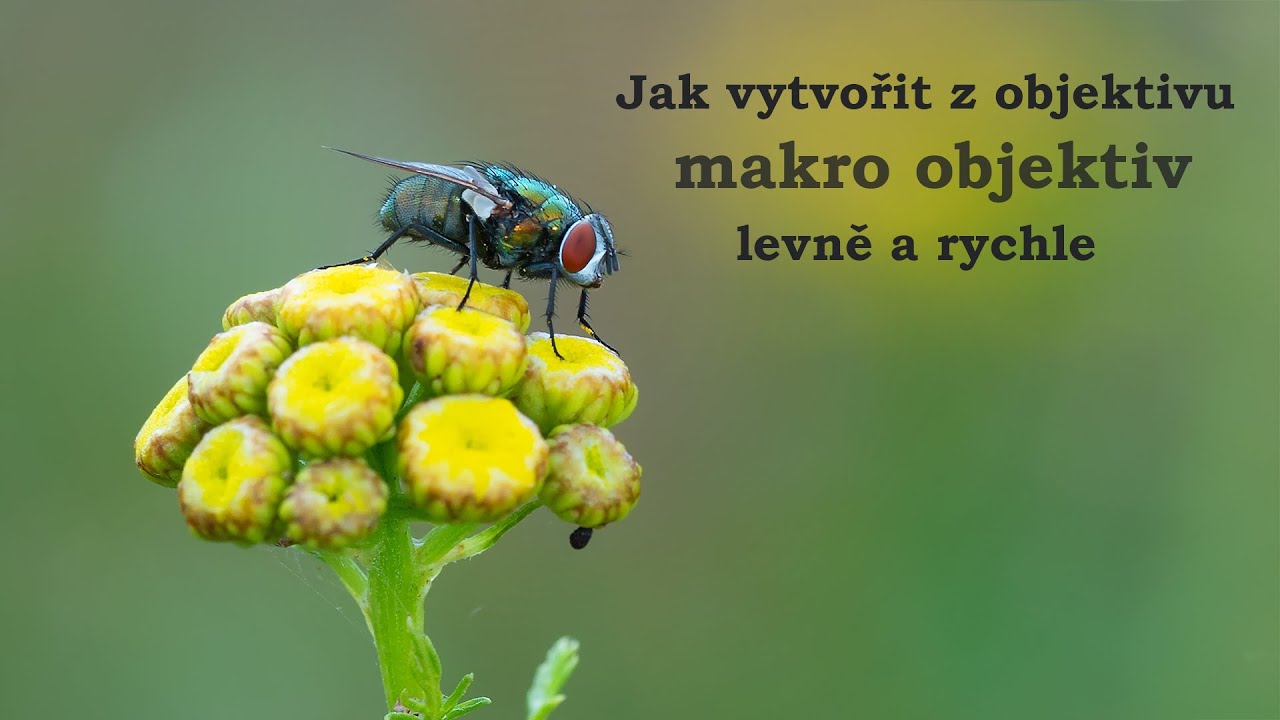 Jak z objektivu vytvořit makro objektiv pomocí mezikroužků rychle a levně