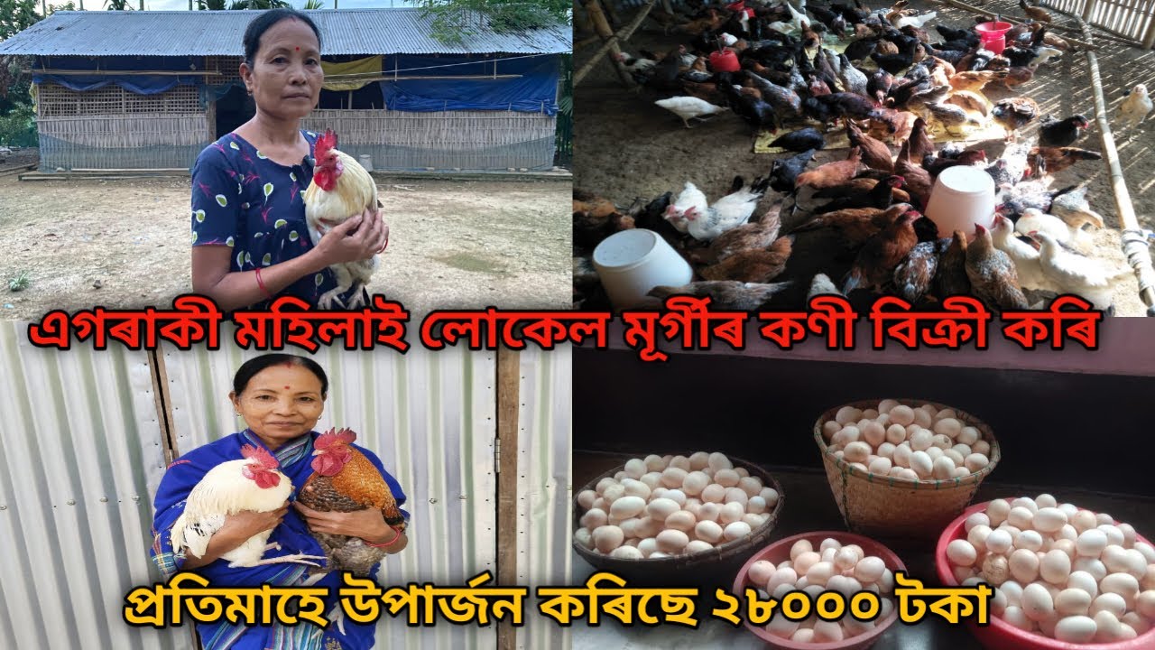 এগৰাকী মহিলাই লোকেল মূৰ্গীৰ কণী বিক্ৰী কৰি প্ৰতিমাহে উপাৰ্জন কৰিছে ২৮০০০ টকা | Local Murgi Egg Farm