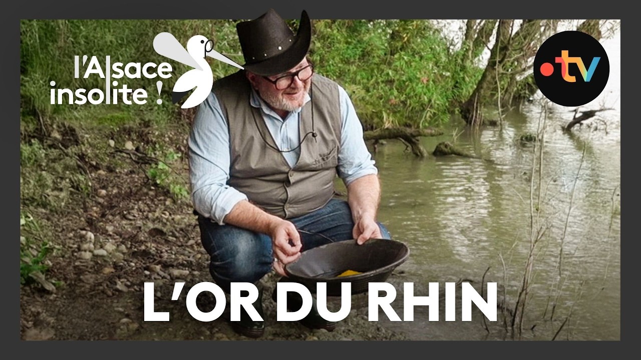 Insolite : des orpailleurs trouvent plus de 500 kilos d'or prélevés dans le Rhin depuis 1750