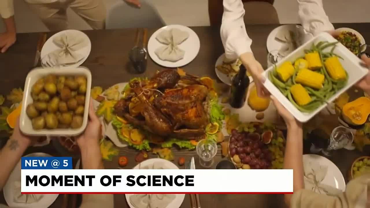 What causes the food coma?