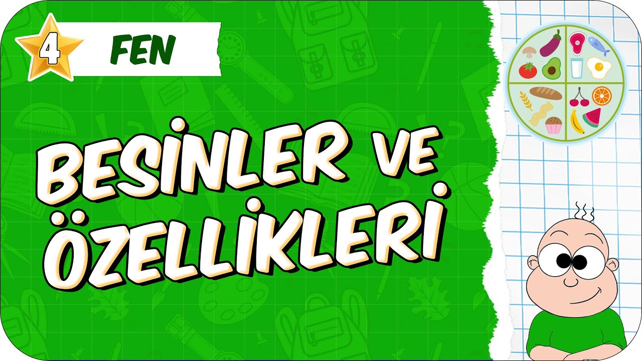 Besinler ve &Ouml;zellikleri 📗 4. Sınıf Fen #2026