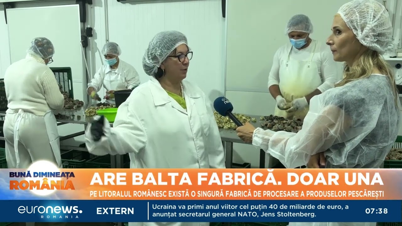 Are balta fabrică. Doar una. O singură unitate de procesare a produselor pescărești pe litoral