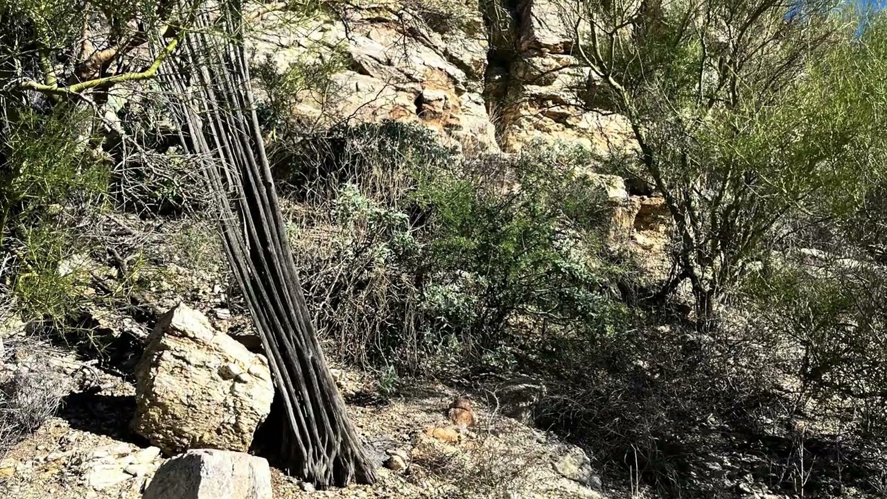Expedition 9 - Arizona - Day 2 (Gold Fever)