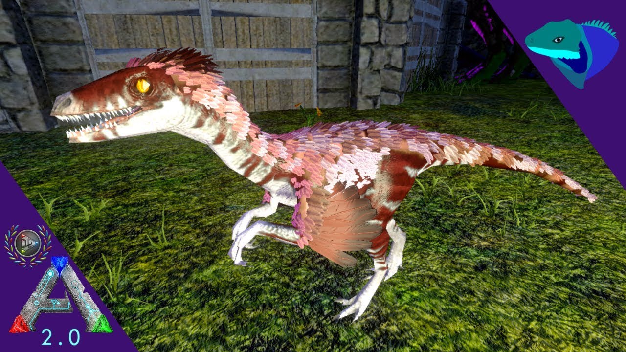 HOW TO TAME TROODONS! BIG PAIN BUT EPIC PVP TAME! Solo ARK: Mobile [S2:E61]