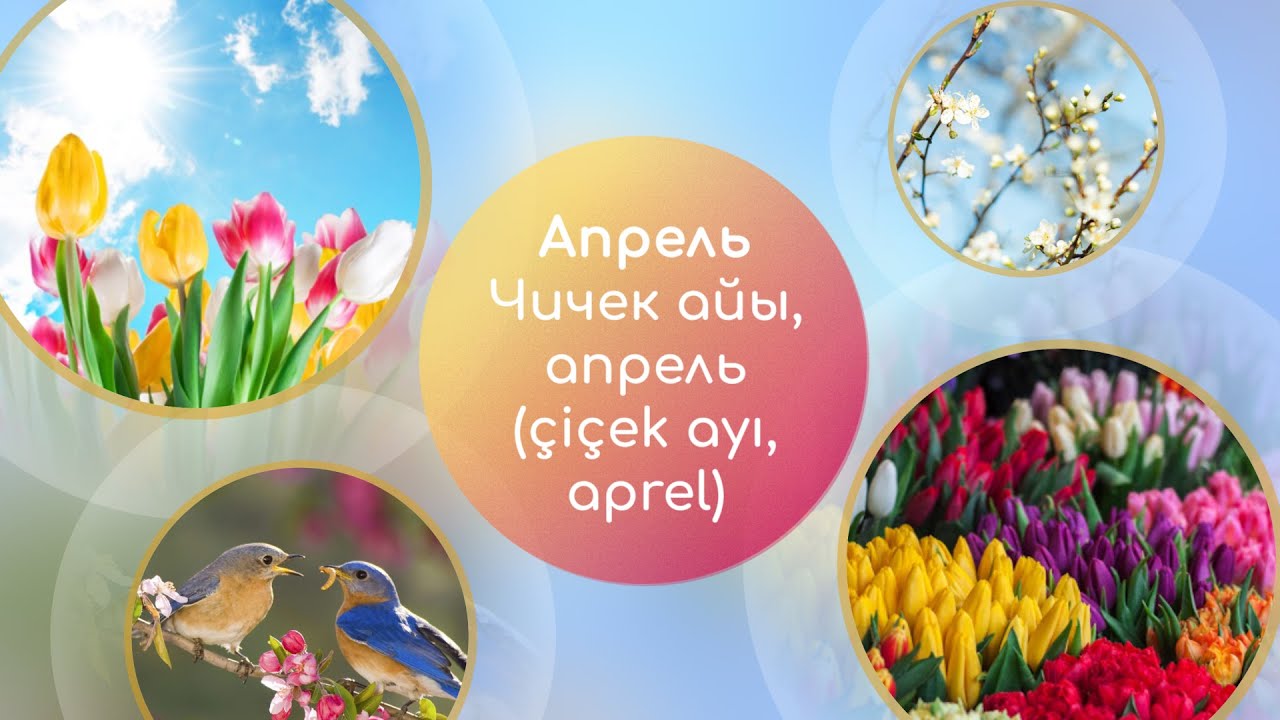 5 главных слов - Апрель - чичек айы, апрель (&ccedil;i&ccedil;ek ayı, aprel)