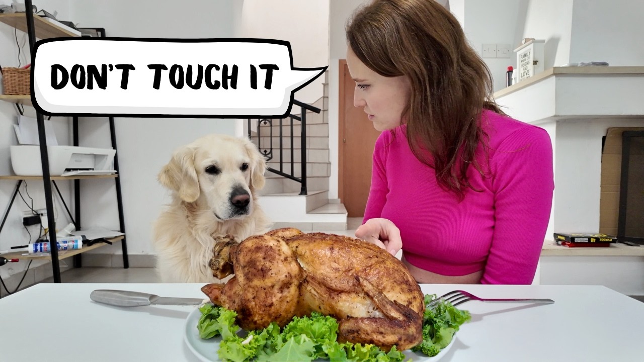 Leaving My Dog Alone with a Whole Chicken – What Could Go Wrong?