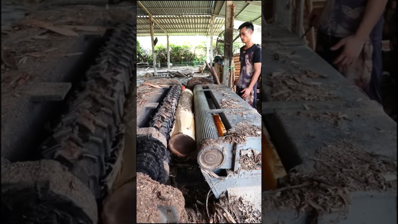 Wood.in #tiktok #viral #foryou #wood #woodworking #woodturning #woodwork #worker #fyp #dangerous