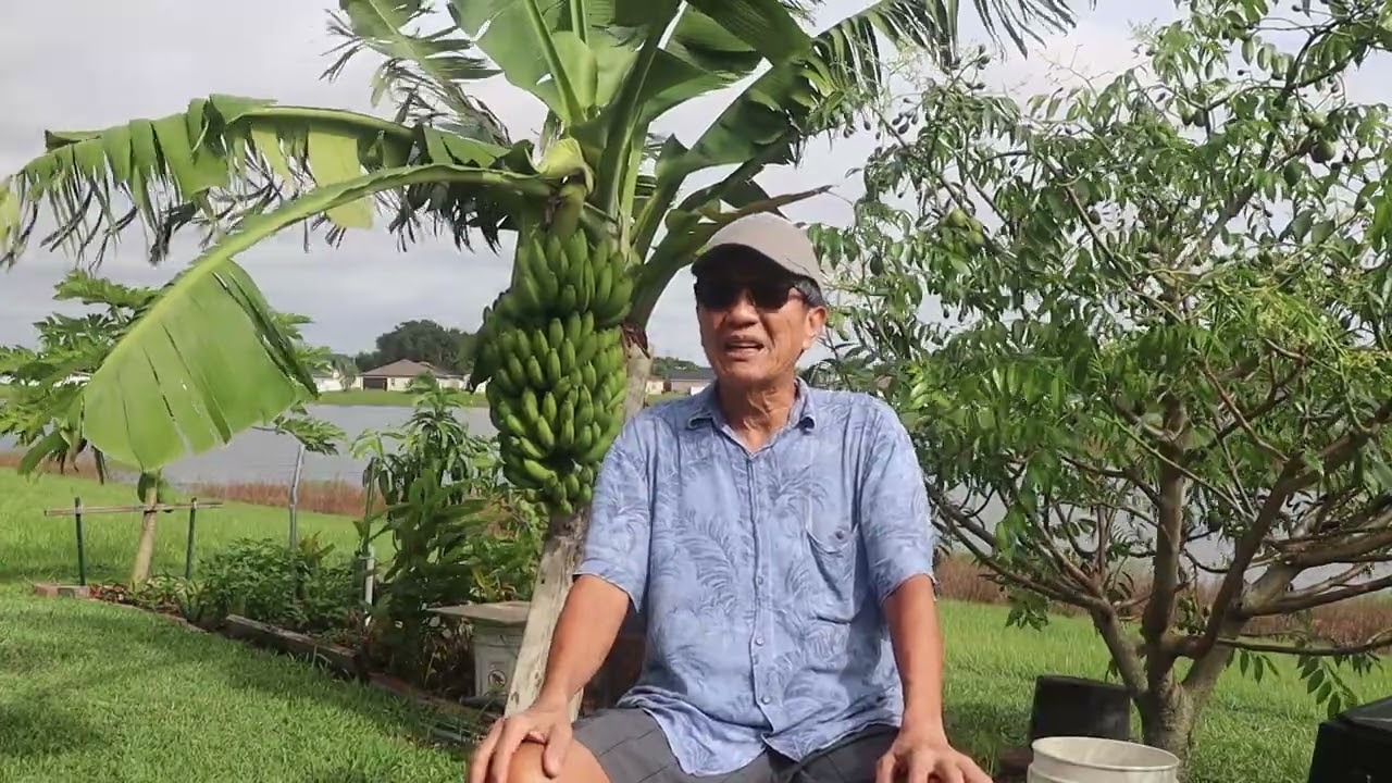 តម្លៃគ្រឿងសង្ហារឹមនឹងឡើងថ្លៃនៅសហរដ្ឋអាមេរិក / KSH Oct.11, 2025