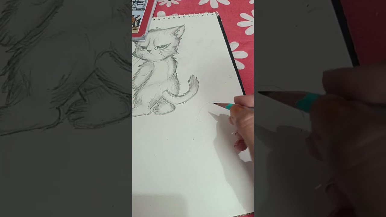 कालिका  is live
