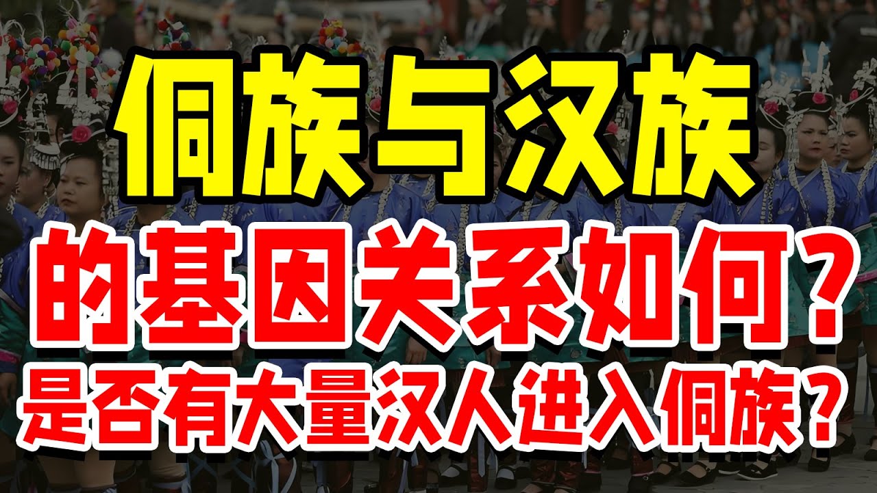 侗族与汉族的基因关系如何？是否有大量汉人进入侗族？