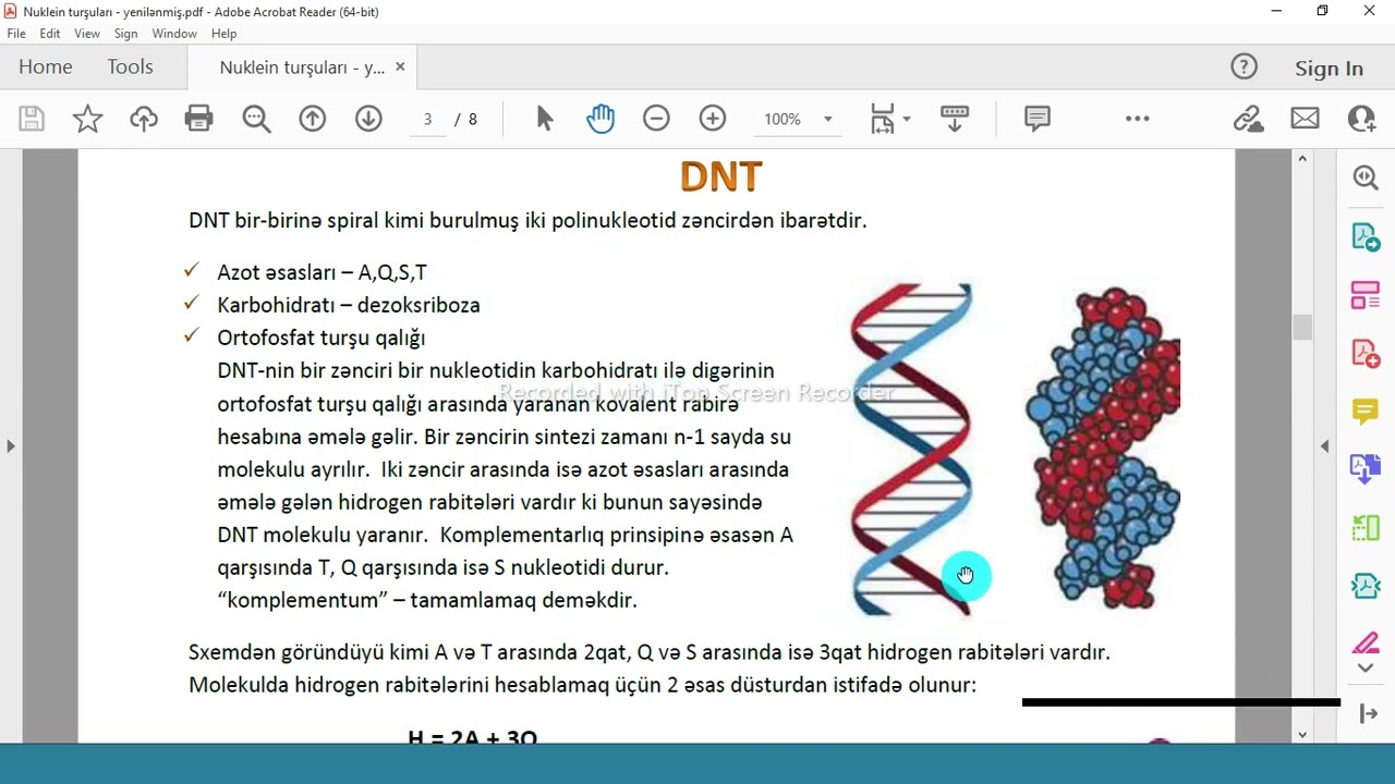 Nuklein turşuları. DNT, RNT.