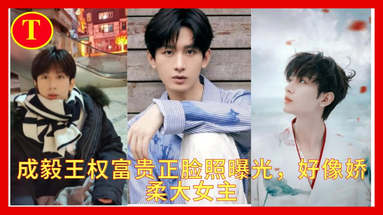 成毅王权富贵正脸照曝光，好像娇柔大女主