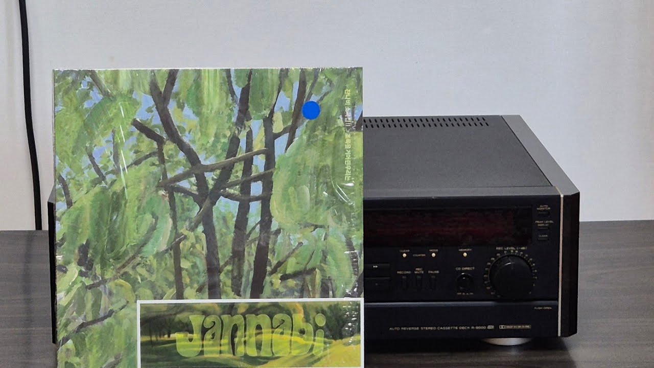 잔나비 - 슬픔이여안녕 [LP 녹음]