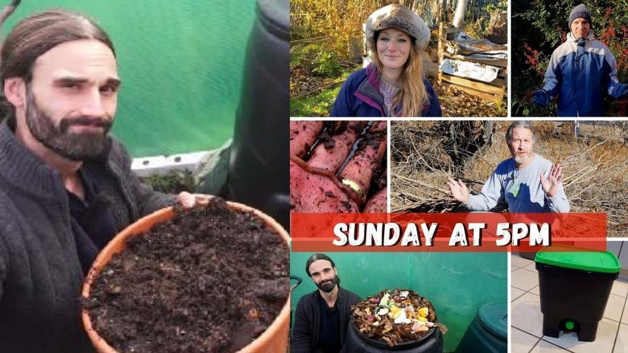 Making compost in a Dalek compost bin!