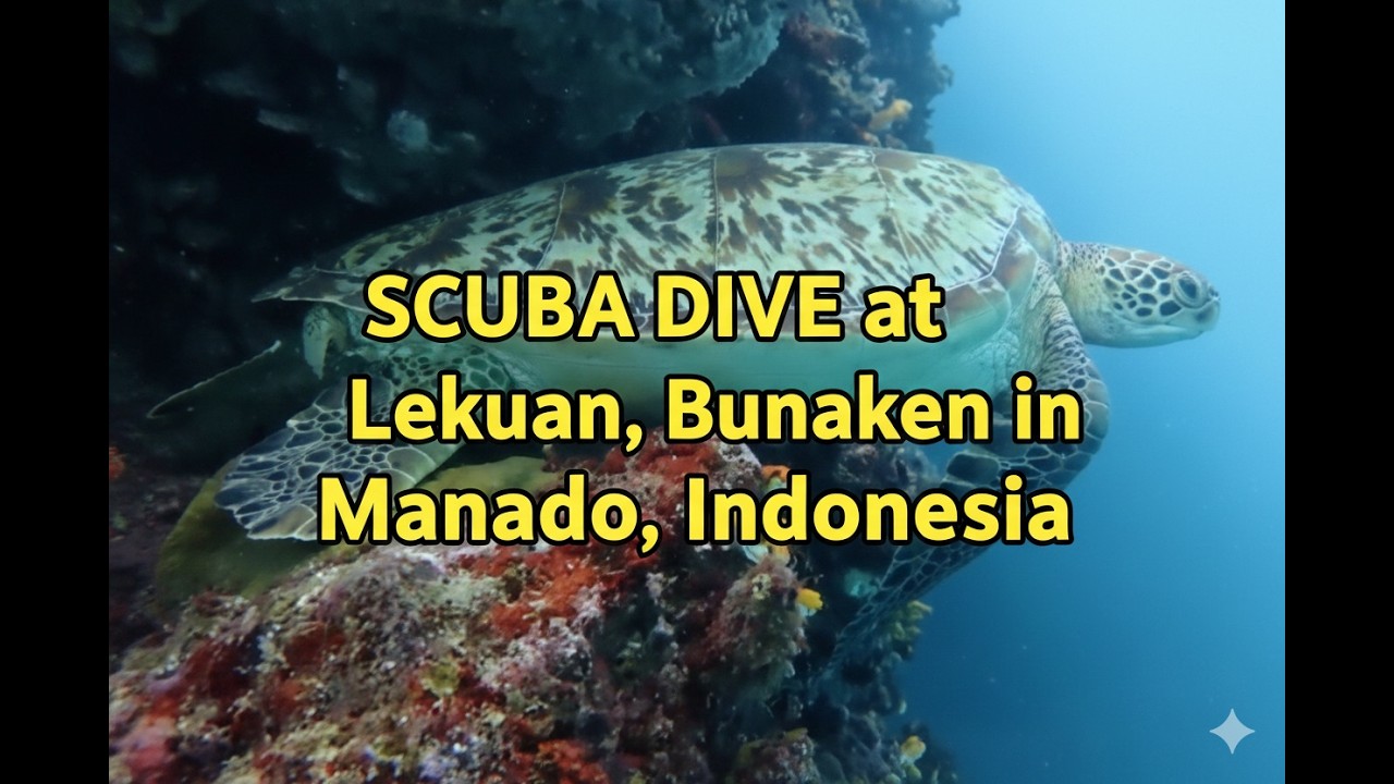260209 SCUBA Diving at Lekuan, Bunaken in Manado, Indonesia