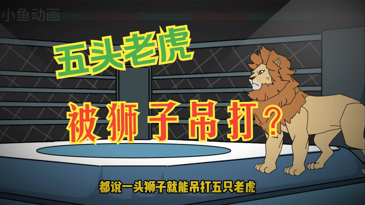【虎虎我啊，灾变前得先减肥！（小鱼胖虎）】为了证明老虎才是万兽之王，我重生成动物园里的一只胖虎#夜一漫谈