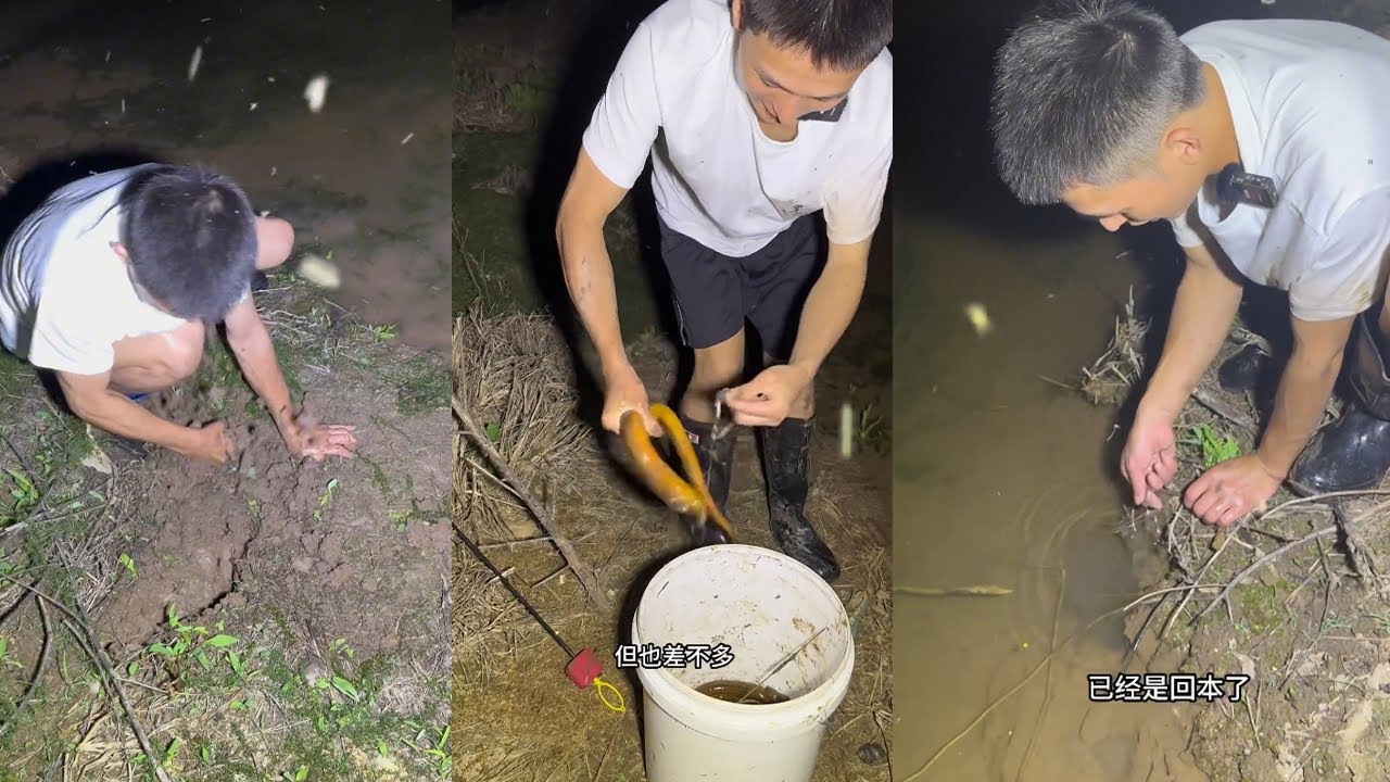 300塊3個小時，在這塊蝦塘裏釣黃鱔，你們覺得今晚我能不能上岸？#viralvideo #熱門