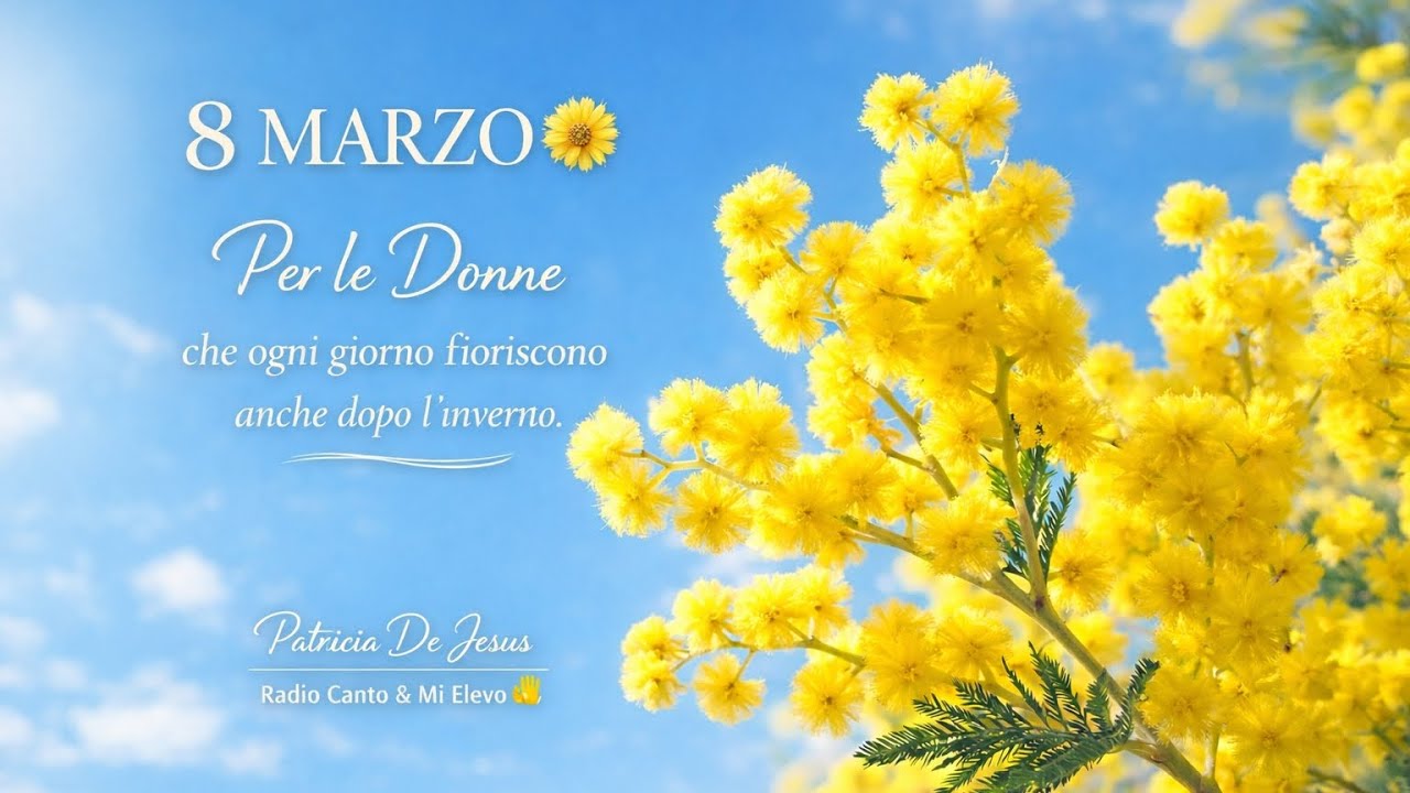 ✨🌼Mimosa di Luce | 8 Marzo per le Donne 🌻 | Forza che Fiorisce Anche Dopo l’Inverno 