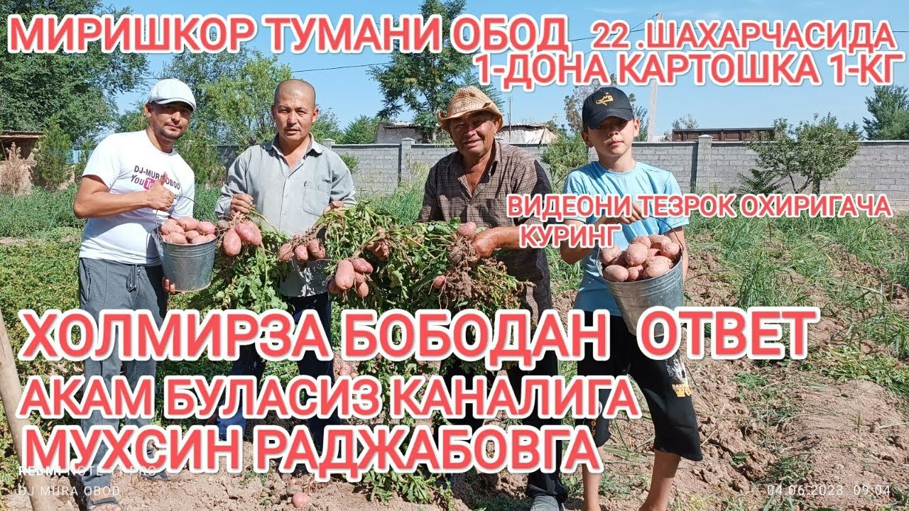 МИРИШКОР ТУМАНИ ОБОД 22 САВХОЗДА 1-ДОНА КАРТОШКА 🥔 1-КГ БУЛДИ