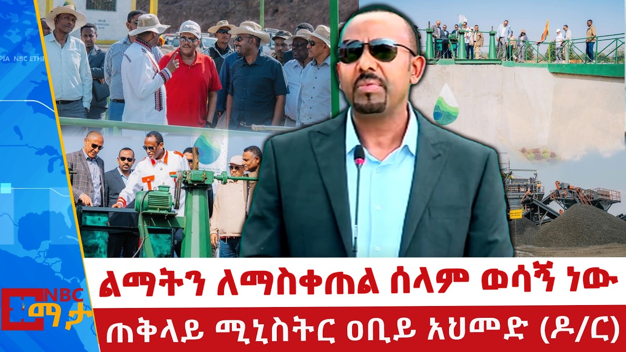 የታየው የልማት ጭላንጭል ወደ ተሟላ ብርሃን እንዲሸጋገር ሁሉም ጠንክሮ መስራት ይገባል | NBC ማታ | @NBCETHIOPIA