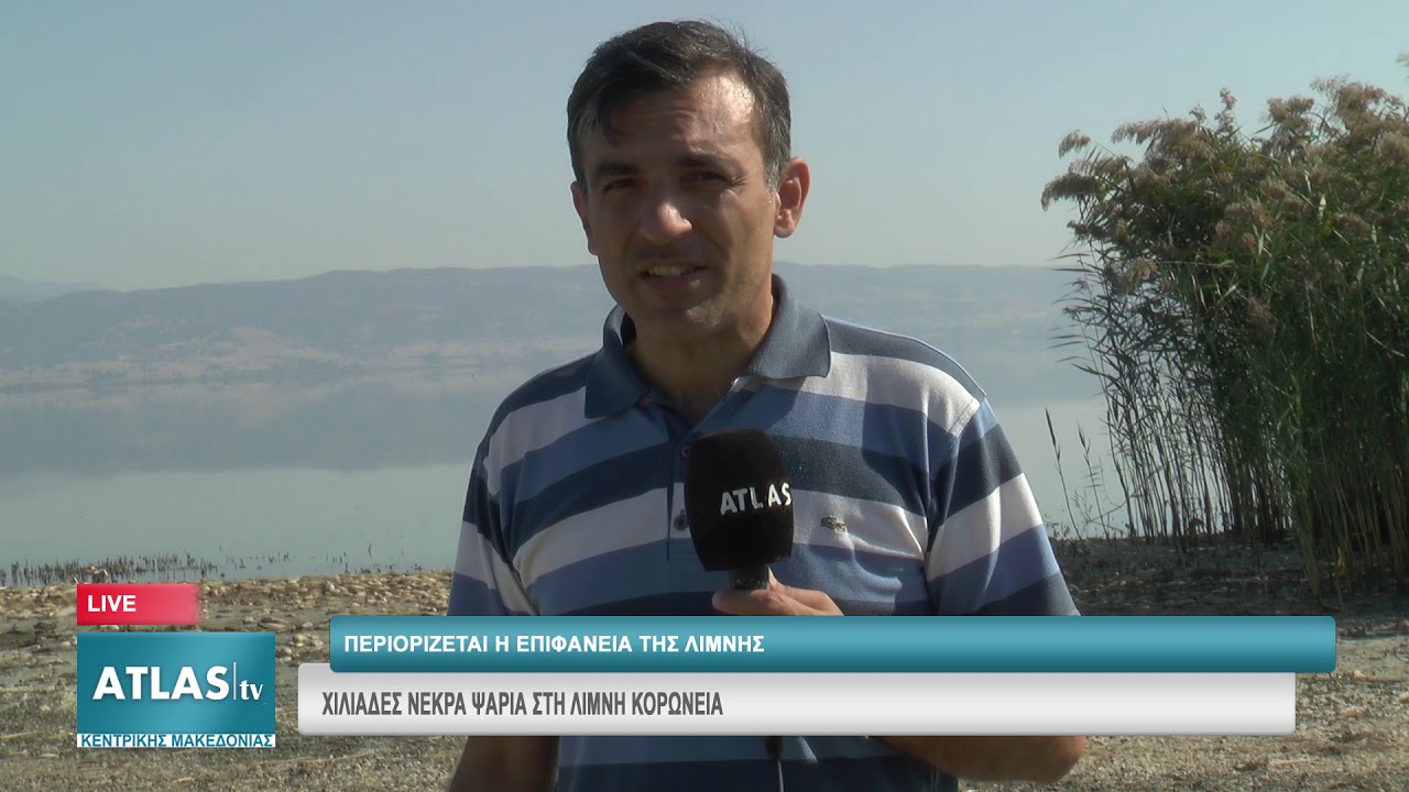 ΧΙΛΙΑΔΕΣ ΝΕΚΡΑ ΨΑΡΙΑ ΣΤΗ ΛΙΜΝΗ ΚΟΡΩΝΕΙΑ