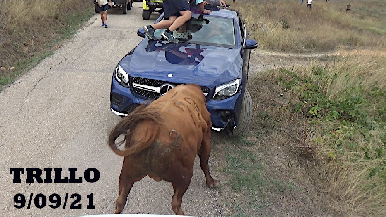 Y ESE COCHE?! ENCIERRO por el CAMPO TRILLO 2021