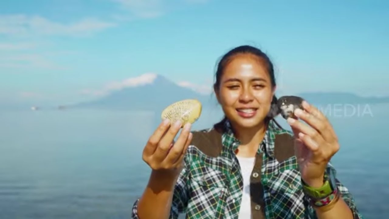 Berburu Kerang | JEJAK PETUALANG