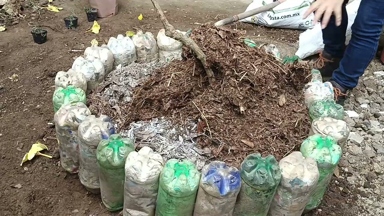 JARDINERIA sigo organizando mi patio y trasplantado #flores ... el cuento de nunca acabar #plantas