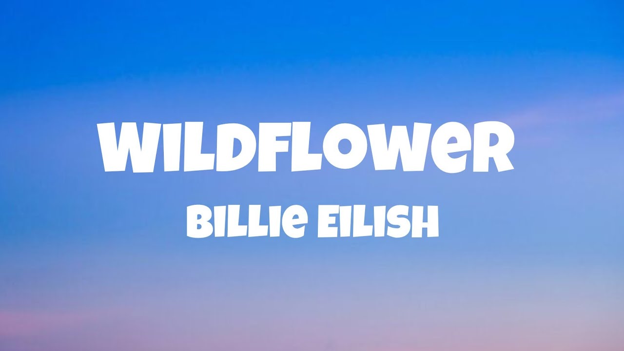 Billie Eilish - WILDFLOWER Lyrics (DLyrics01)
