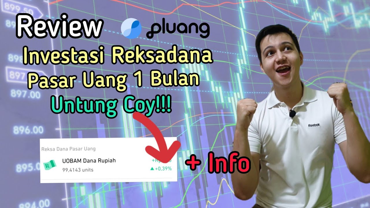 REVIEW INVESTASI REKSADANA DI PLUANG 1 BULAN || REVIEW PLUANG