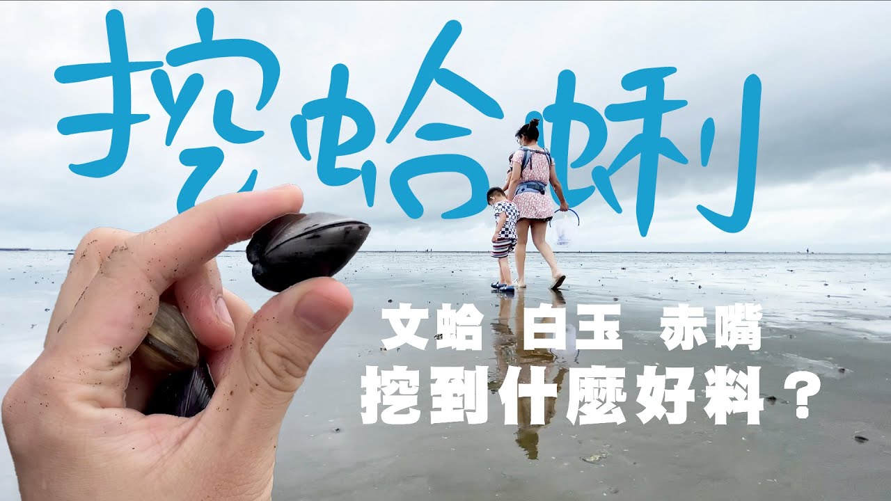 新竹 趕海去！揹著小孩挖蛤蜊還能收穫滿滿？給孩子貼近自然的體驗 #趕海 #挖蛤蜊 #朝山曬船橋