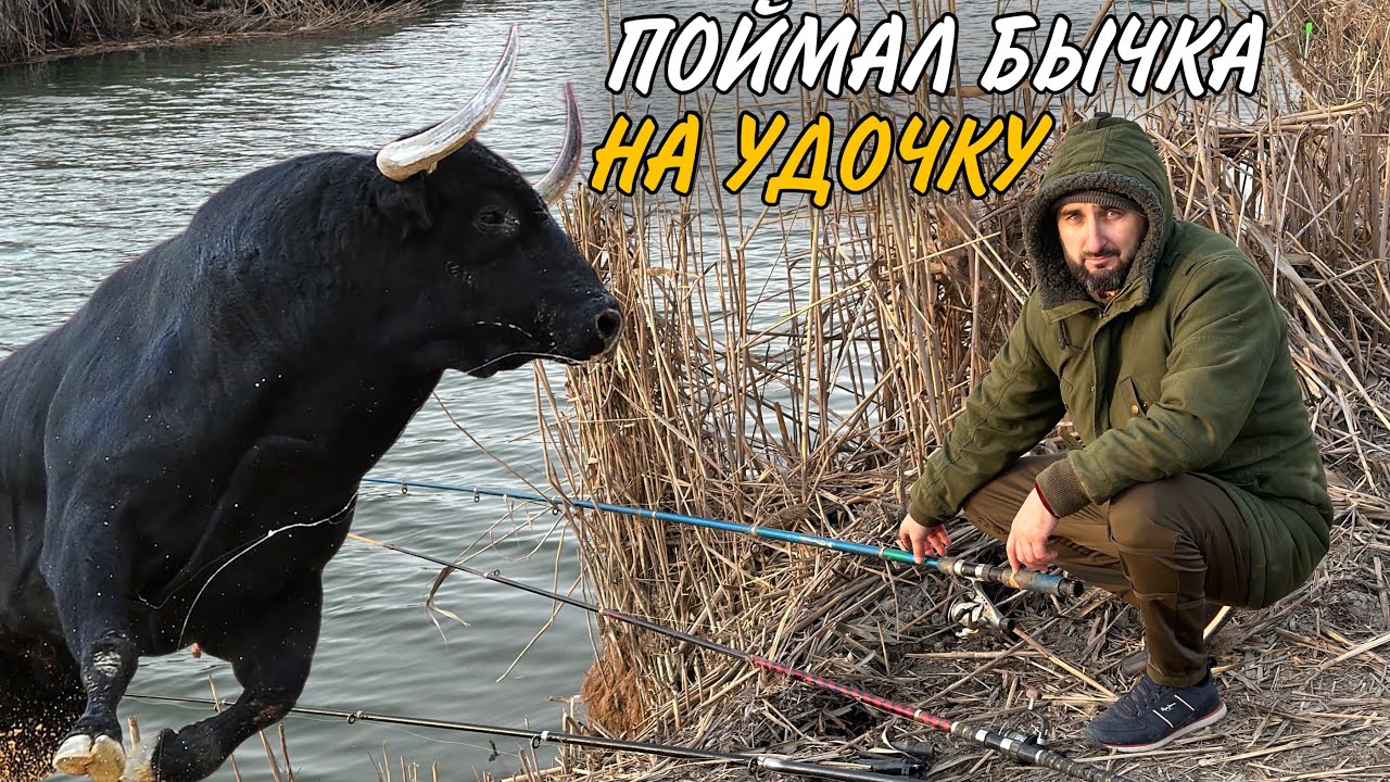 НЕЗАБЫВАЕМАЯ РЫБАЛКА 🎣 ОТ РАШИДА ДОБРЯКА/СМОТРЕТЬ ДО КОНЦА
