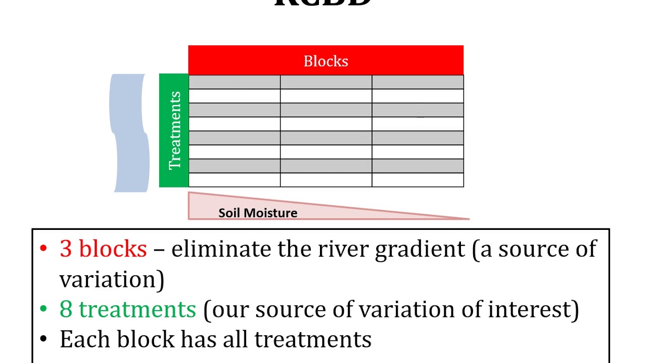 Lecture 19 Experimental Designs; RCBD; Randomized Complete Block Design; ANOVA; Two Way ANOVA