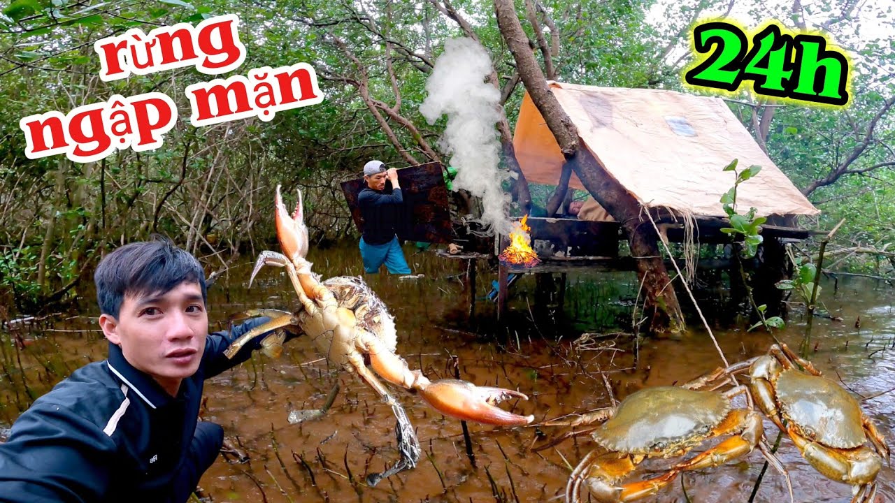 Cắm Trại rừng ngập mặn Phát hiện hang ổ của những con cua khủng giữa khu rừng | 24 hours Camping
