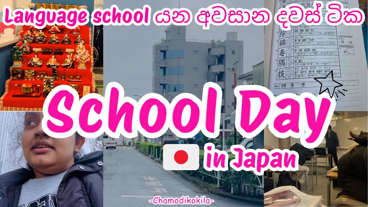 Japanese Language School 🥰🇯🇵 |  පාසල් ජීවිතේ අවසාන දවස් කිහිපය 🥺🥲 | Life In Japan 🇯🇵❤️